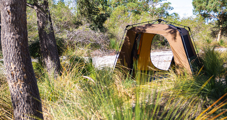 pitch-your-own-tent-lawn